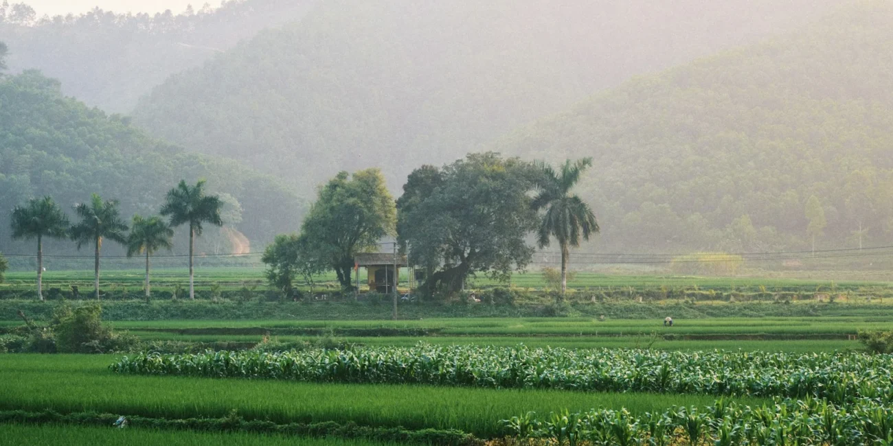 očkovanie pre cestu do Kambodže