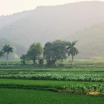 očkovanie pre cestu do Kambodže