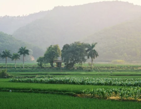 očkovanie pre cestu do Kambodže