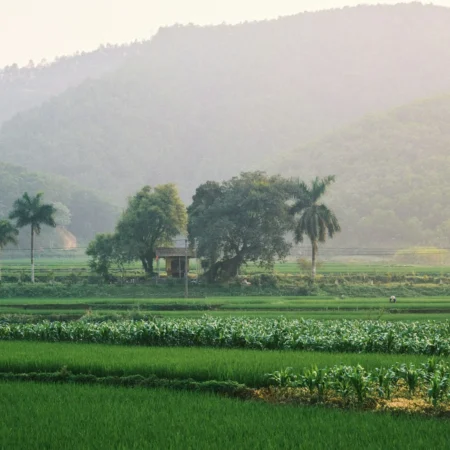 očkovanie pre cestu do Kambodže
