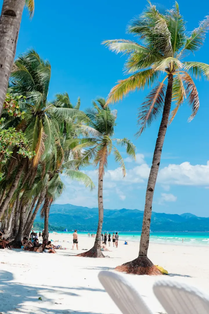 Photo by Karl Joshua Bernal A beach with palm trees and people on it
