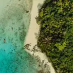 aerial view of green trees beside body of water during daytime