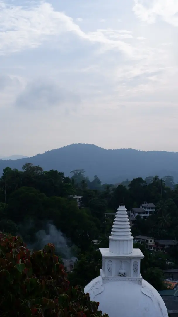Photo by Gleb Tiidt a white building with a tower and trees in the background
