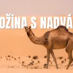 Batožina s nadváhou