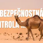 Bezpečnostná kontrola na letisku