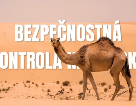 Bezpečnostná kontrola na letisku