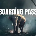 Boarding Pass