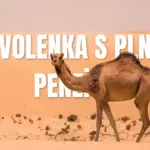 Dovolenka s plnou penziou