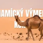 Dynamický výmenný kurz