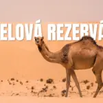 Hotelová rezervácia