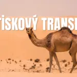 Letiskový transfer