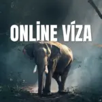 Online víza
