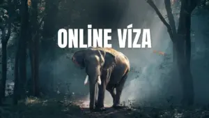 Online víza