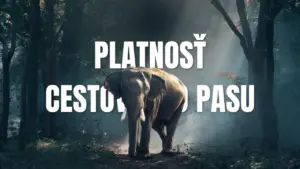 Platnosť cestovného pasu