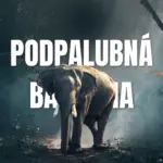 Podpalubná batožina