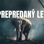 Prepredaný let – Overbooked flight