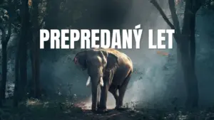 Prepredaný let – Overbooked flight