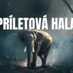 Príletová hala