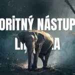 Prioritný nástup do lietadla