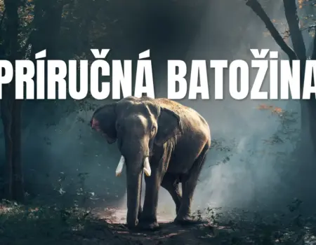 Príručná batožina Príručná batožina