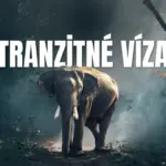 Tranzitné víza