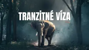Tranzitné víza