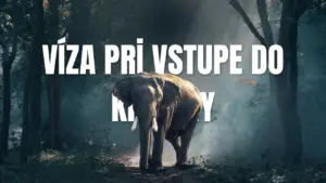 Víza pri vstupe do krajiny