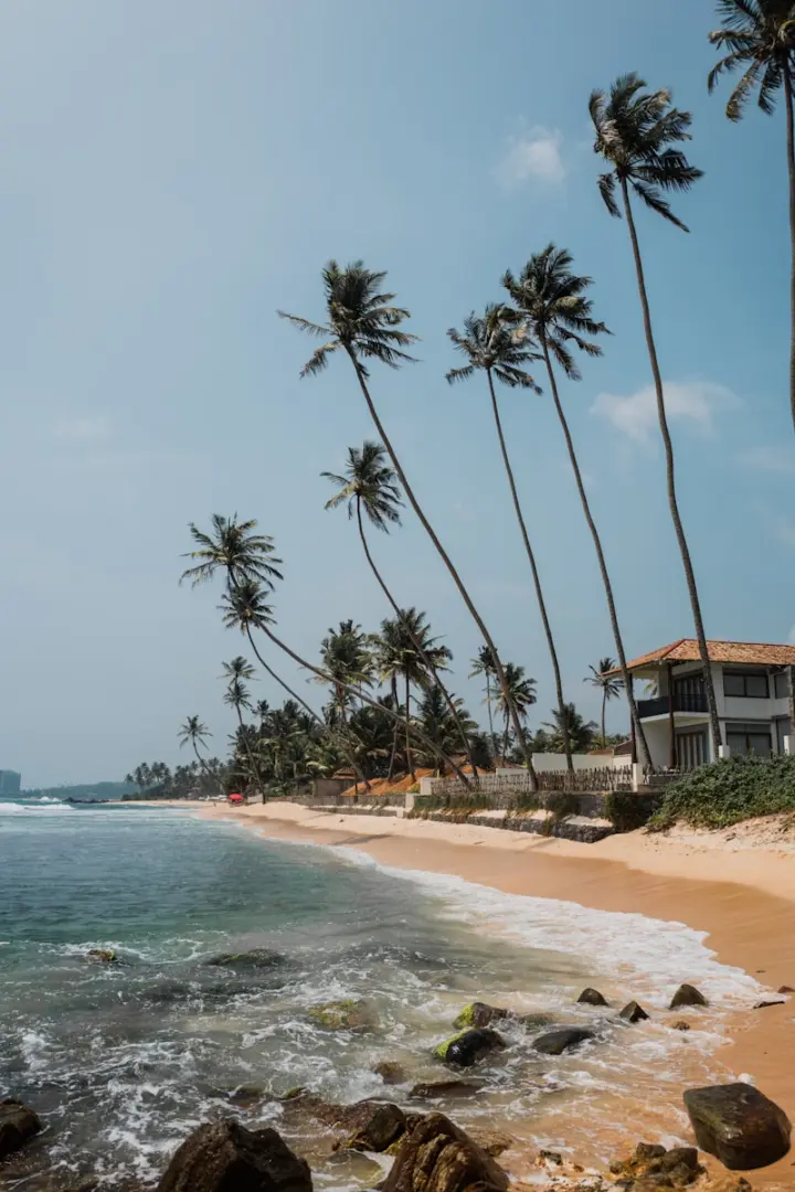 Unawatuna a sandy beach with palm trees and a house in the background