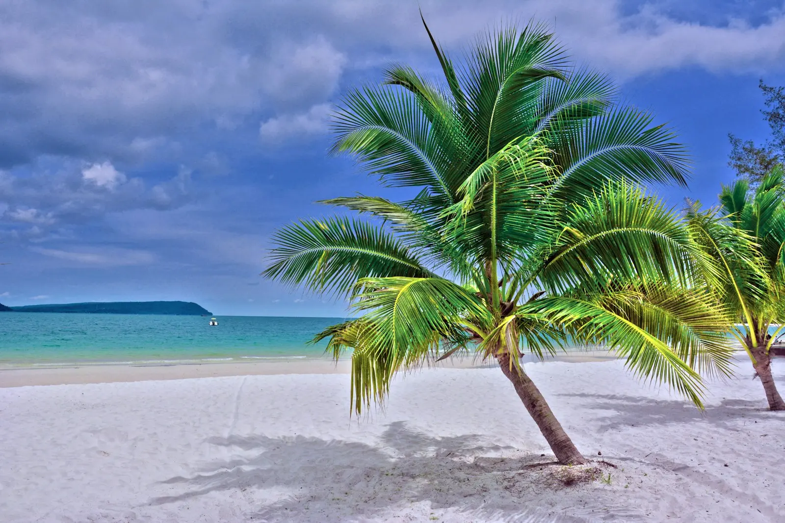 Najväčšie zaujímavosti o Kambodži pre plánovanie na vlastnú päsť 2 green palm tree on white sand beach during daytime