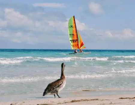 Výber peňazí na Kube