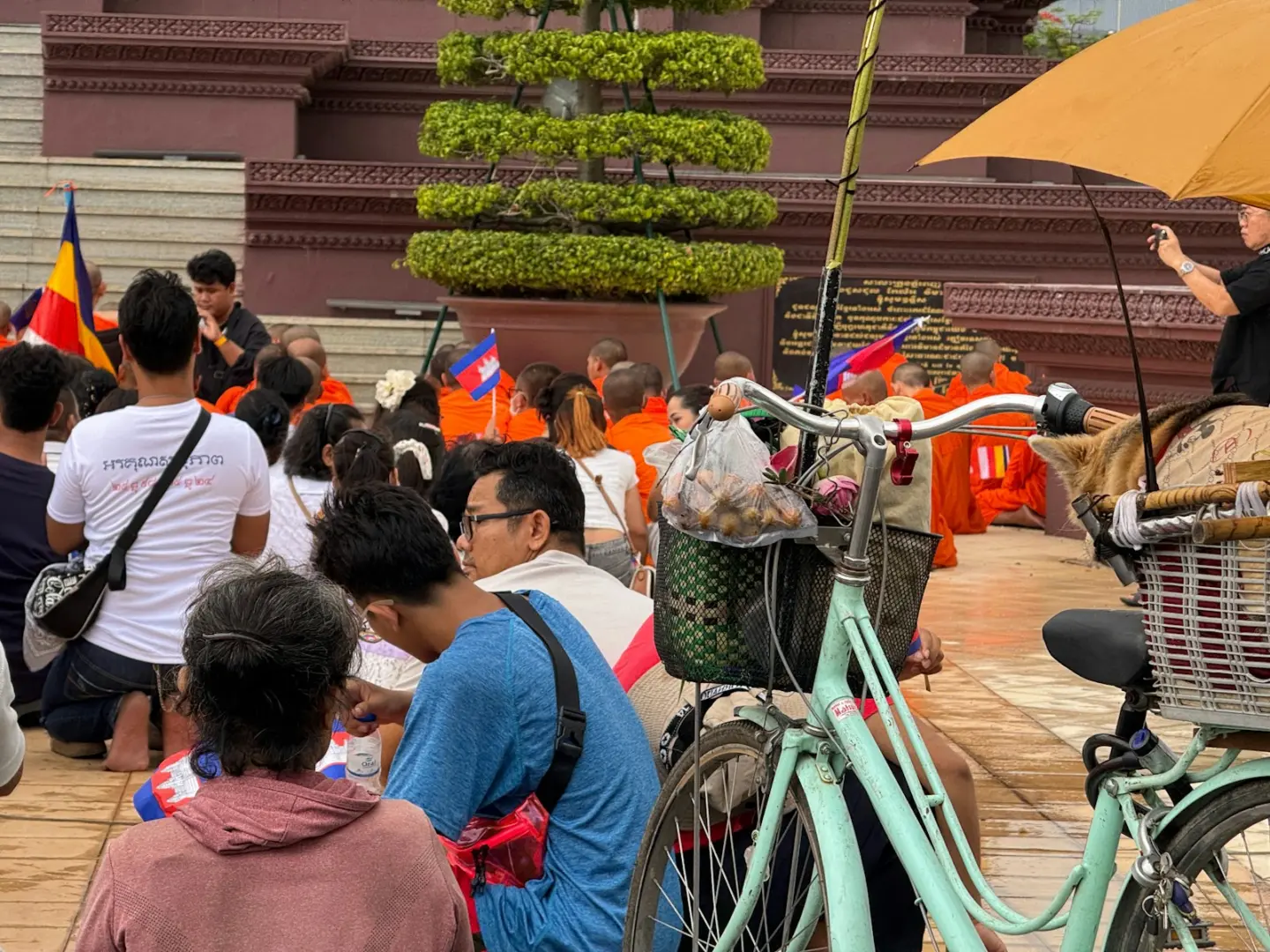 Crowd of people gathered outdoors with flags