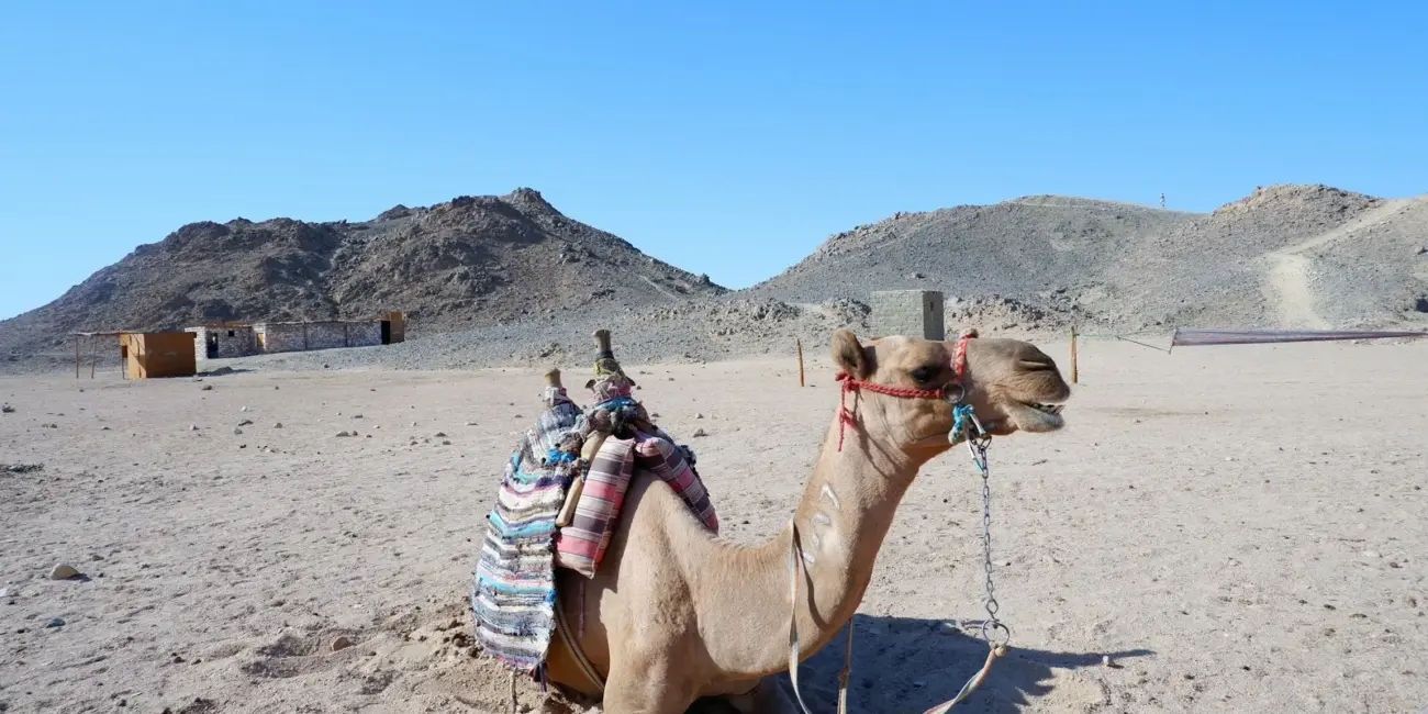 Na čo si dať pozor v Egypte