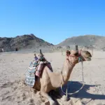 Na čo si dať pozor v Egypte