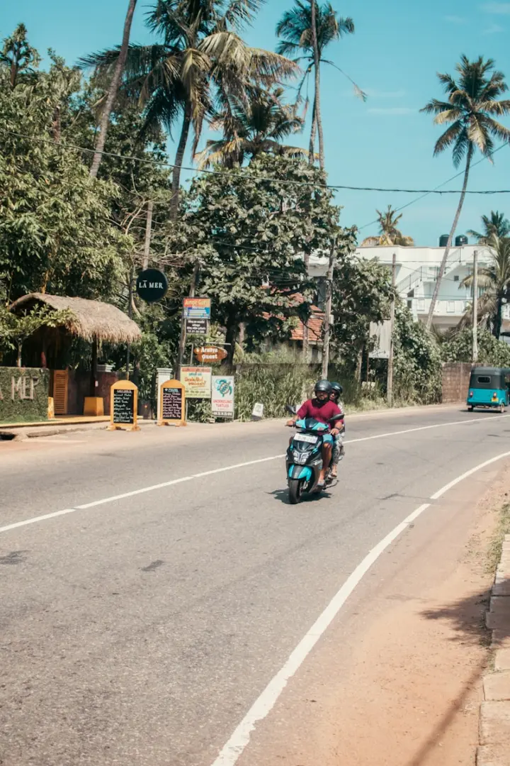 A scooter drives on a road lined by palm trees.
