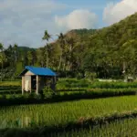 Ako funguje doprava medzi ostrovmi na Filipínach