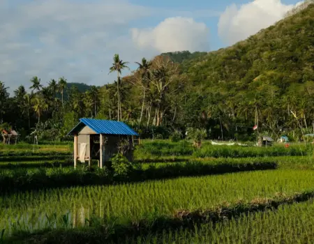 Ako funguje doprava medzi ostrovmi na Filipínach