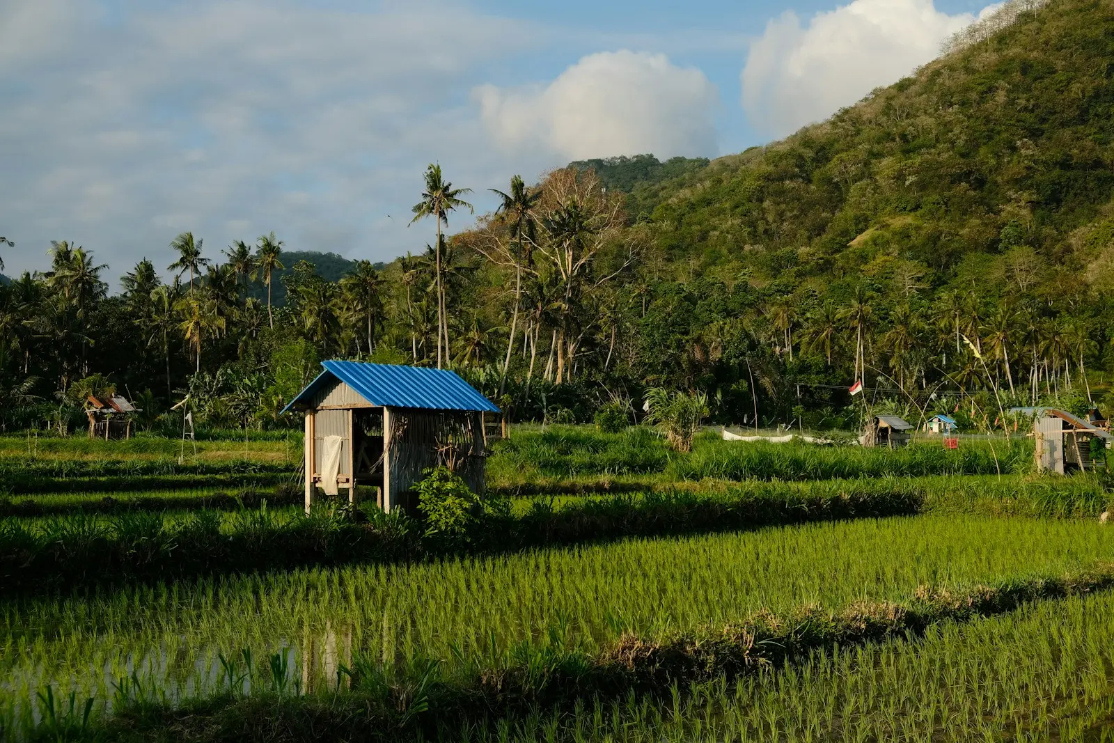 Ako funguje doprava medzi ostrovmi na Filipínach Ako funguje doprava medzi ostrovmi na Filipínach