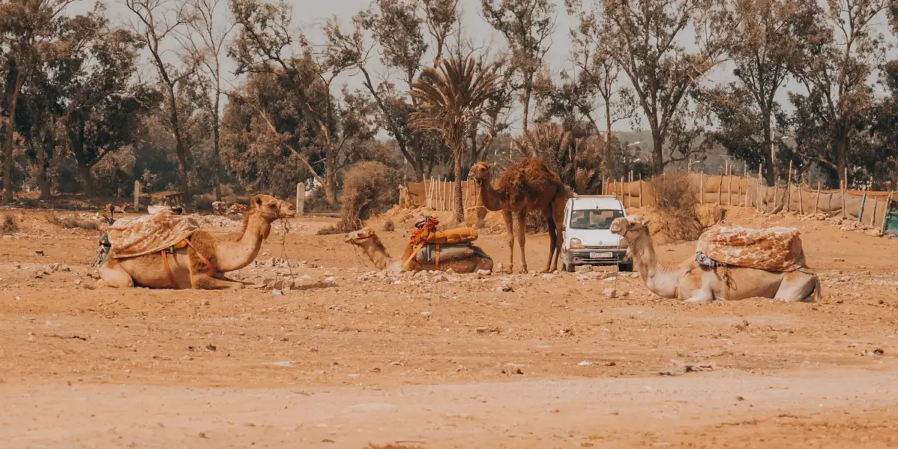 Výber peňazí v Maroku