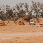 Výber peňazí v Maroku