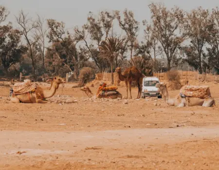 Výber peňazí v Maroku