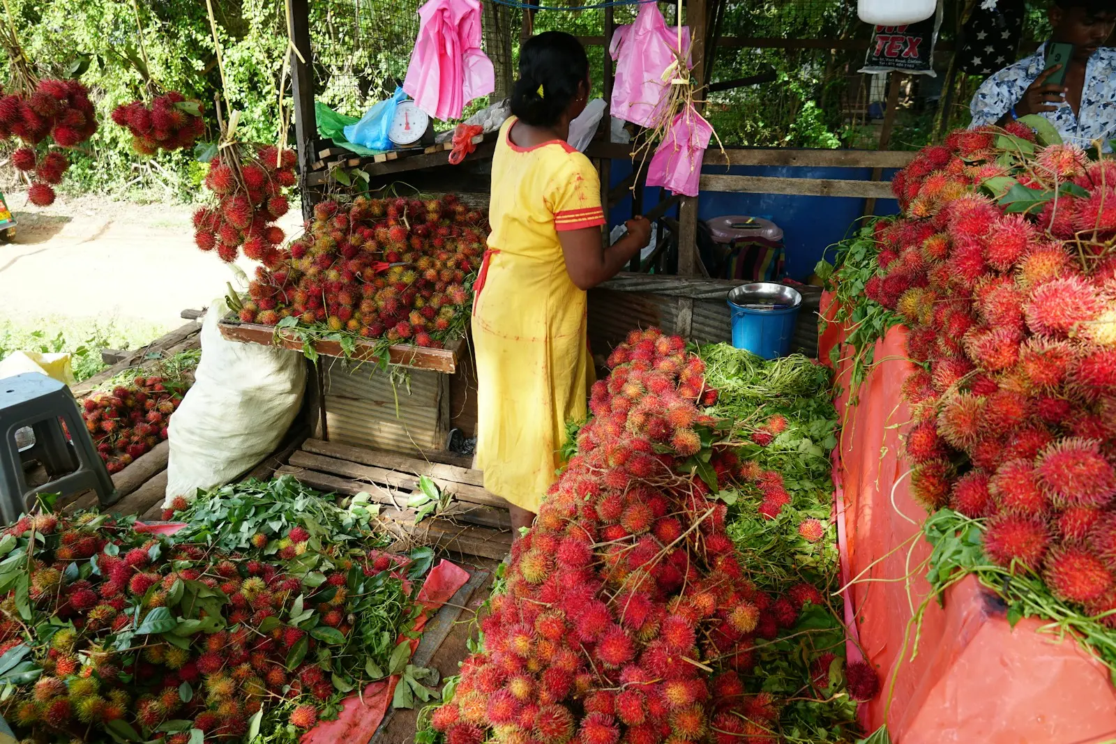 Prenájom tuk tuku na Srí Lanke 2 A woman standing in front of a fruit stand
