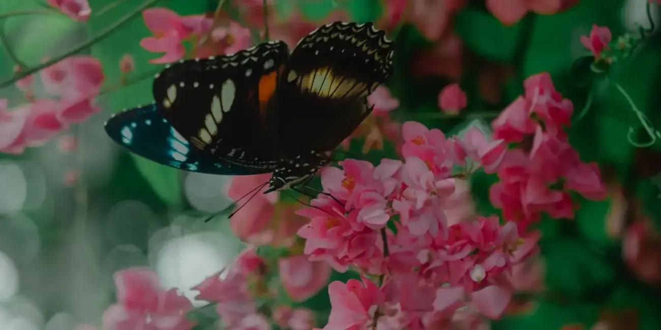 Ako vybrať peniaze z bankomatu na Bali