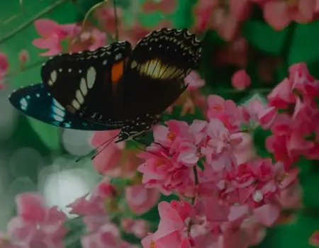 Ako vybrať peniaze z bankomatu na Bali