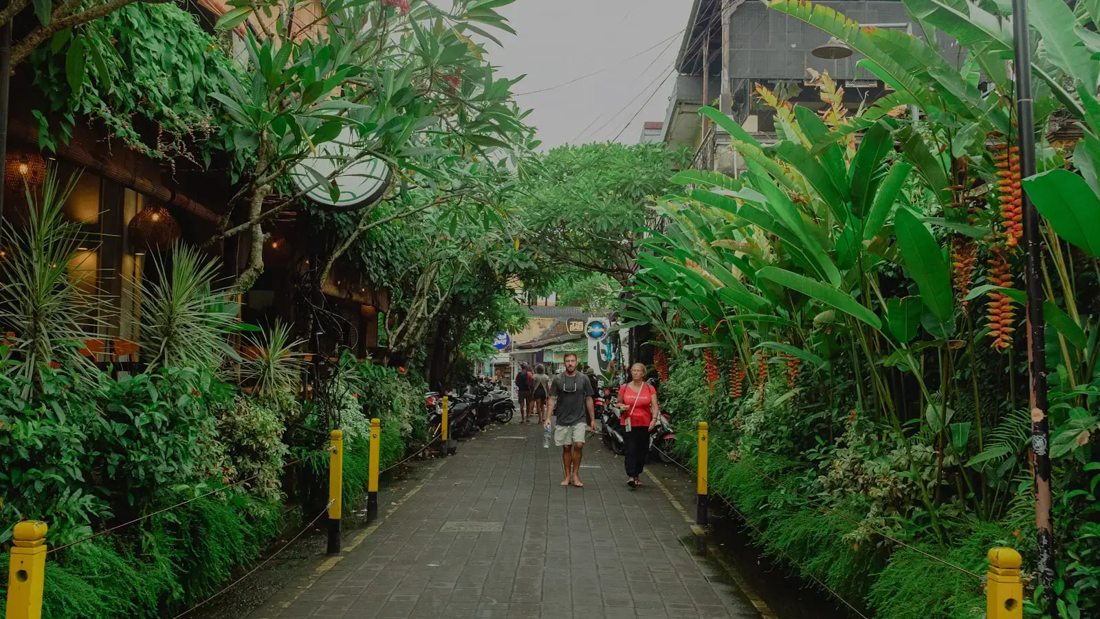 Photo by Hanna Lazar A lush, green alleyway with people walking.