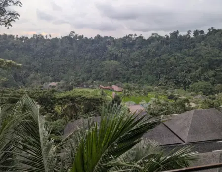 Na čo si dať pozor na Bali