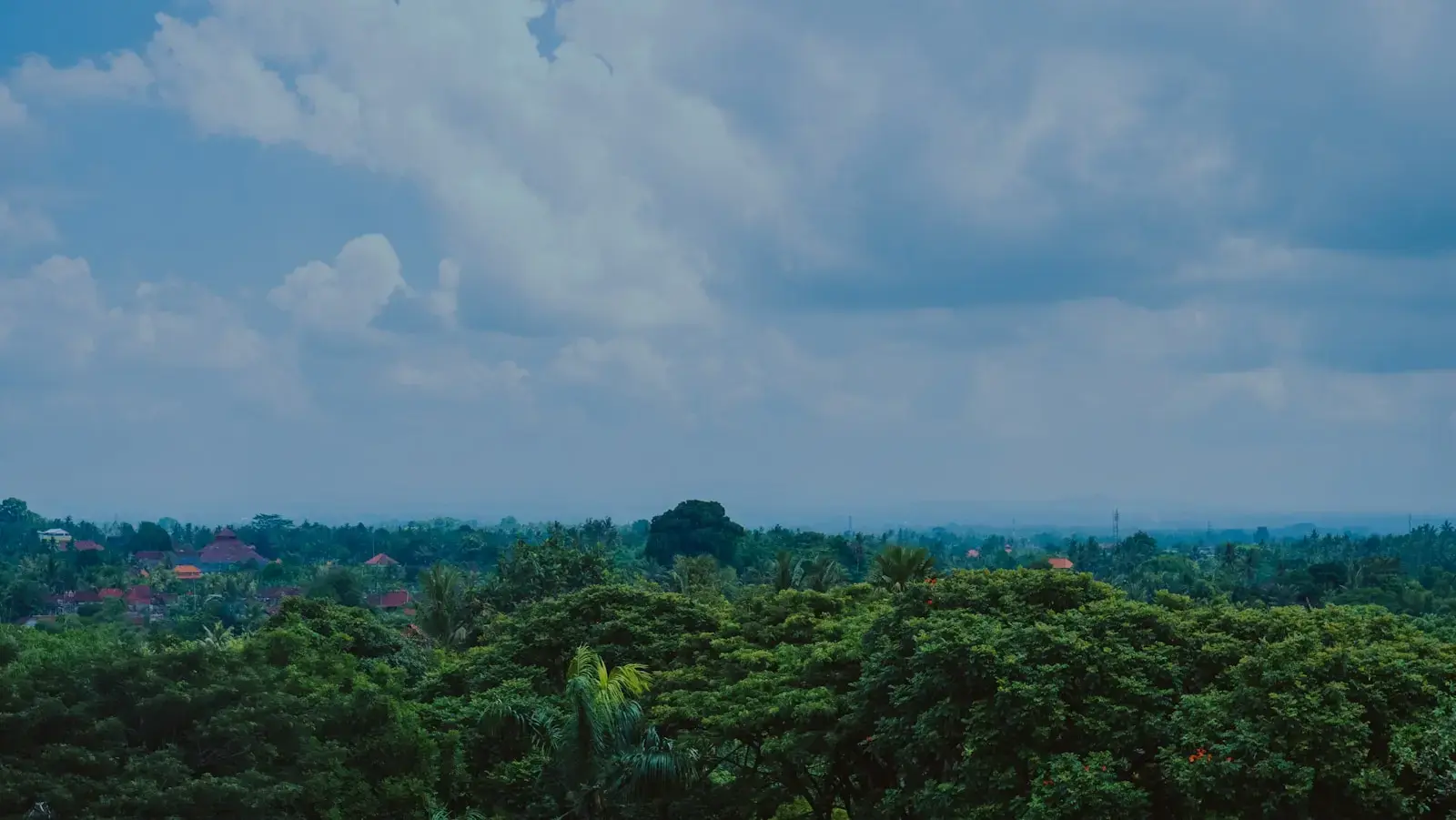 Photo by Hanna Lazar Lush green trees under a cloudy sky.