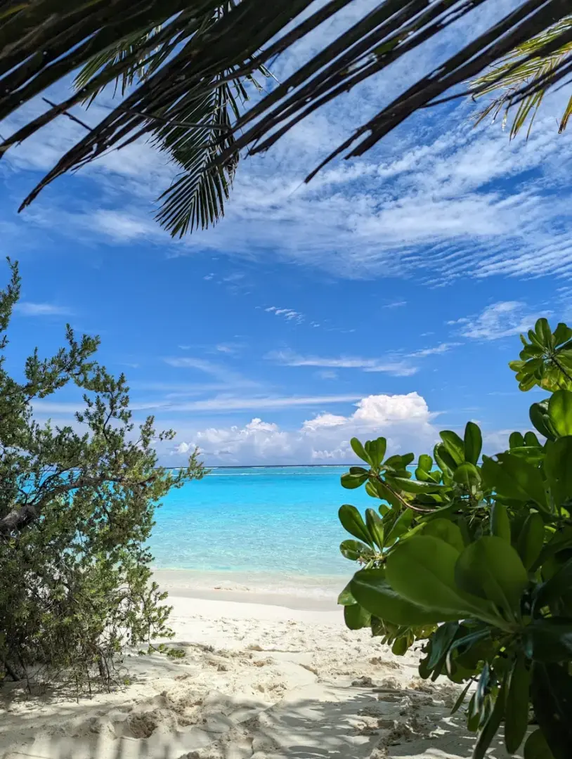 a view of the ocean from a sandy beach