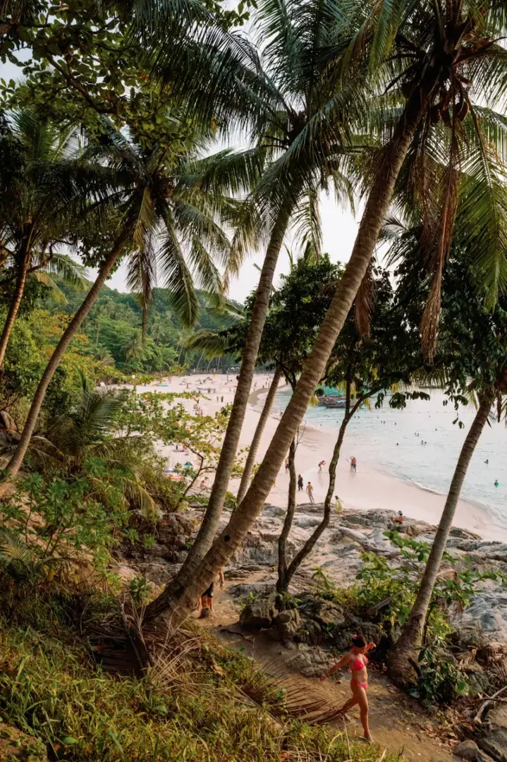 Palm trees frame a tropical beach with people.
