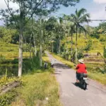 Požičanie skútra na Bali