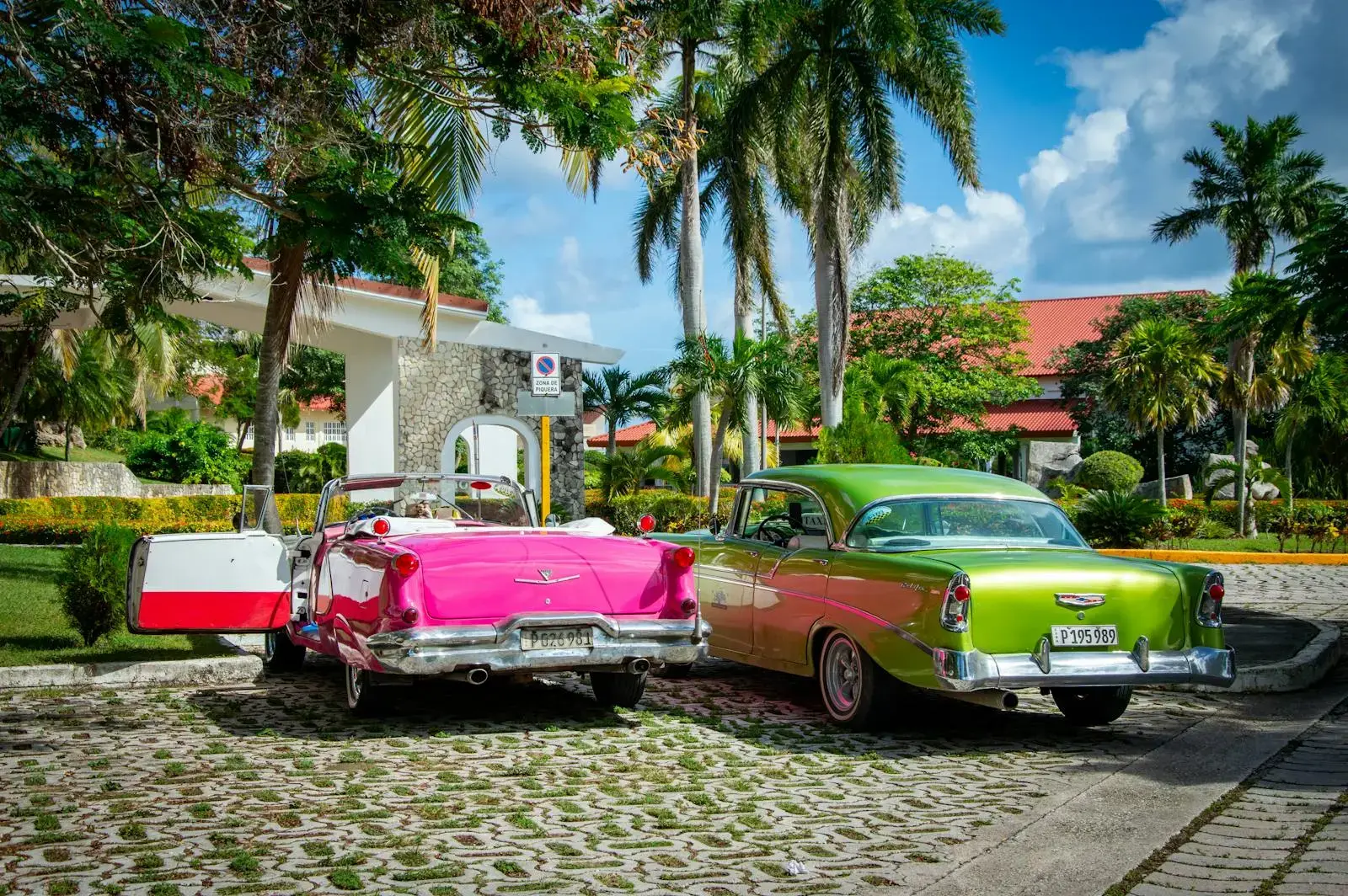 Two vibrant vintage cars parked under palm trees in a tropical resort setting.